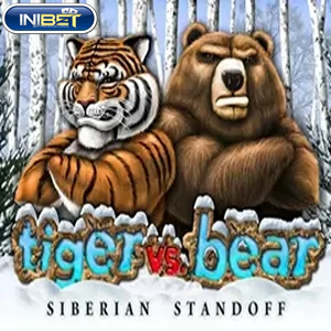 Tiger vs Bear