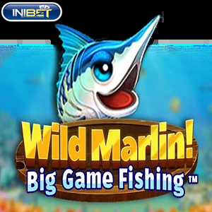 wild marlin big game fishing