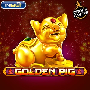 Golden Pig